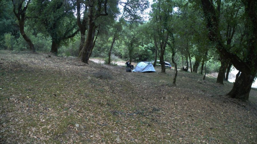 Κατασκήνωση